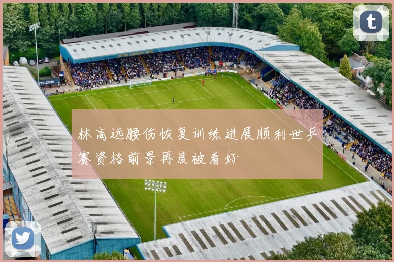 林高远腰伤恢复训练进展顺利世乒赛资格前景再度被看好